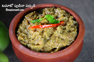 tomato pudina chutney telugu recipe